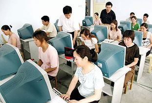 東海勞動(dòng)力市場(chǎng) 免費(fèi)計(jì)算機(jī)技術(shù)培訓(xùn)助力下崗人員再就業(yè)